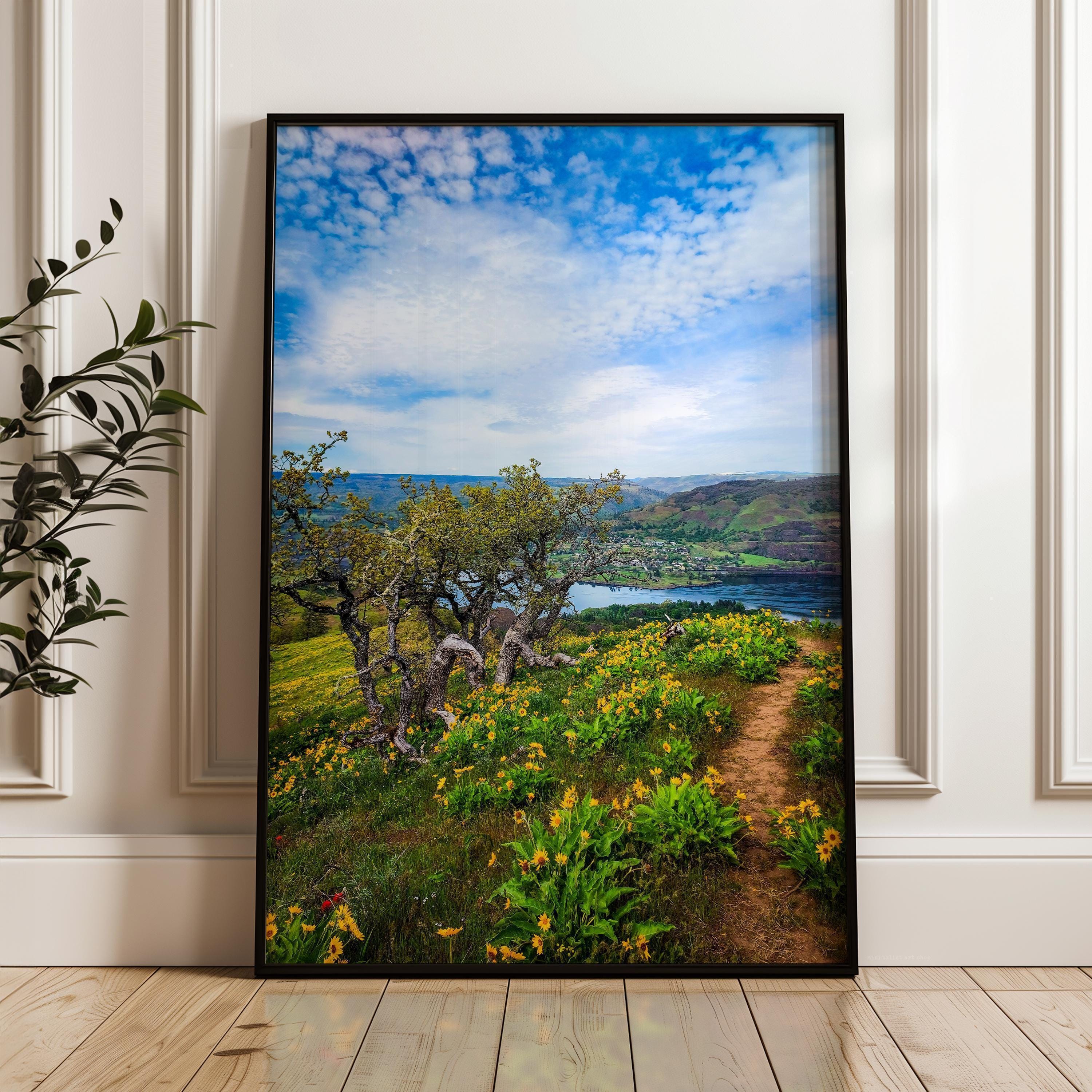 Oregon Landscape Photography Print,  Tom McCall Point Trail Wall Art,  Columbia River Gorge,  PNW Nature Photo by Jessie Dysart