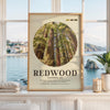 Redwood National Park Print, California Travel Art, Mid Century Modern Wall Decor
