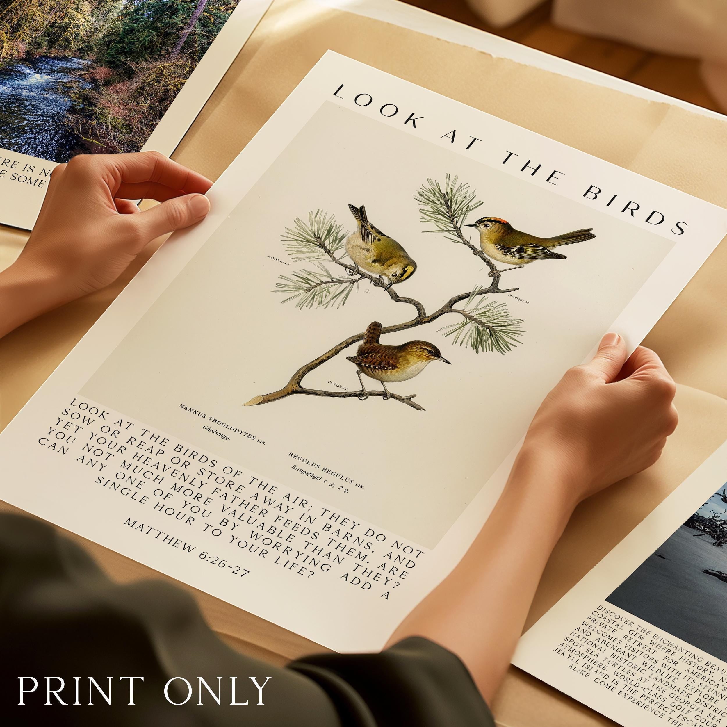 Matthew 6:26-27 Bible Verse Print, Look at the Birds Scripture Wall Art
