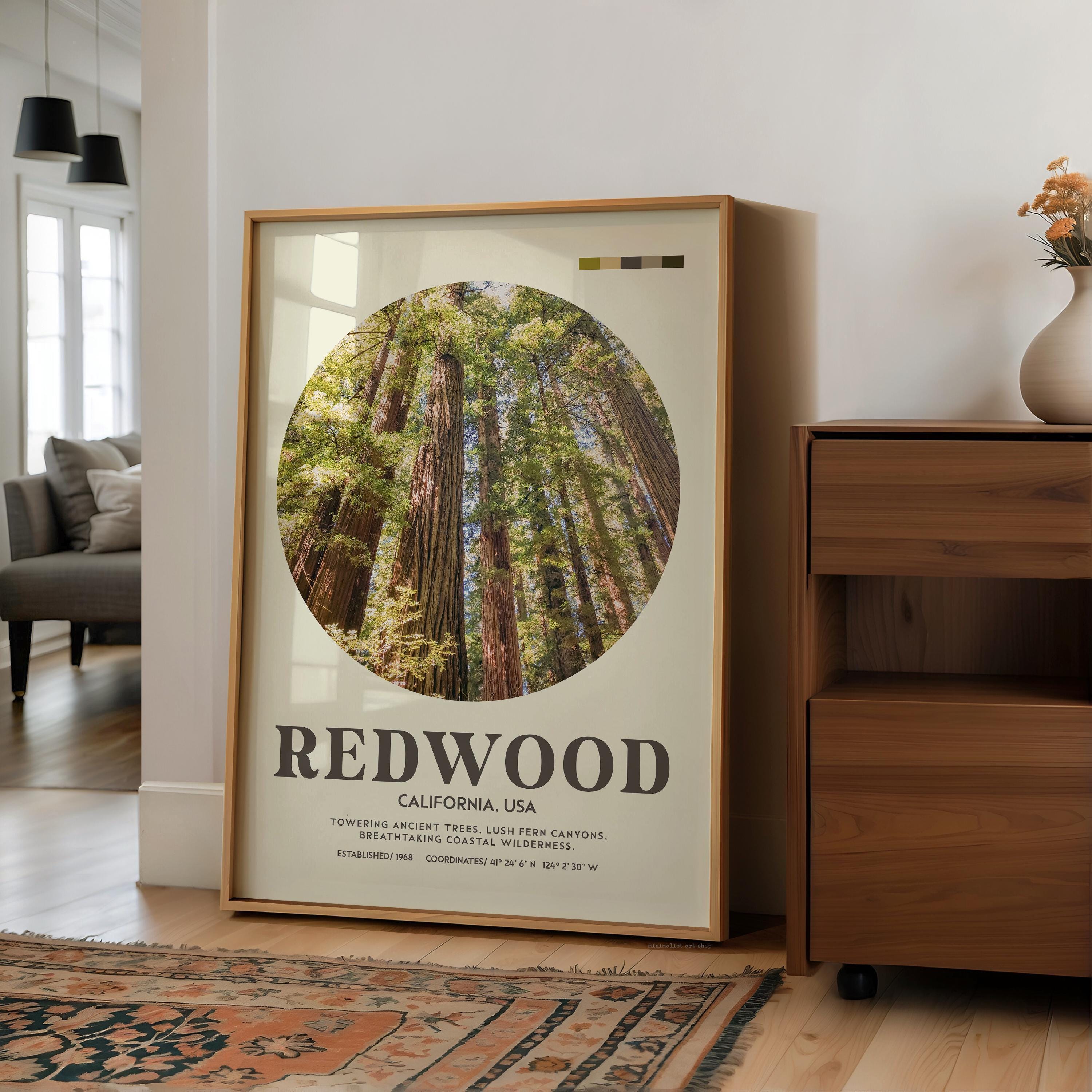 Redwood National Park Print, California Travel Art, Mid Century Modern Wall Decor