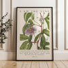 I Am The Vine • You Are the Branches • Mary Walcott Maypop •  John 15:5 • Art Print