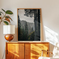 Silver Falls State Park Wall Art,  Oregon Forest Photography Print,  Moody Waterfall Landscape Décor, Pacific Northwest Nature Photo