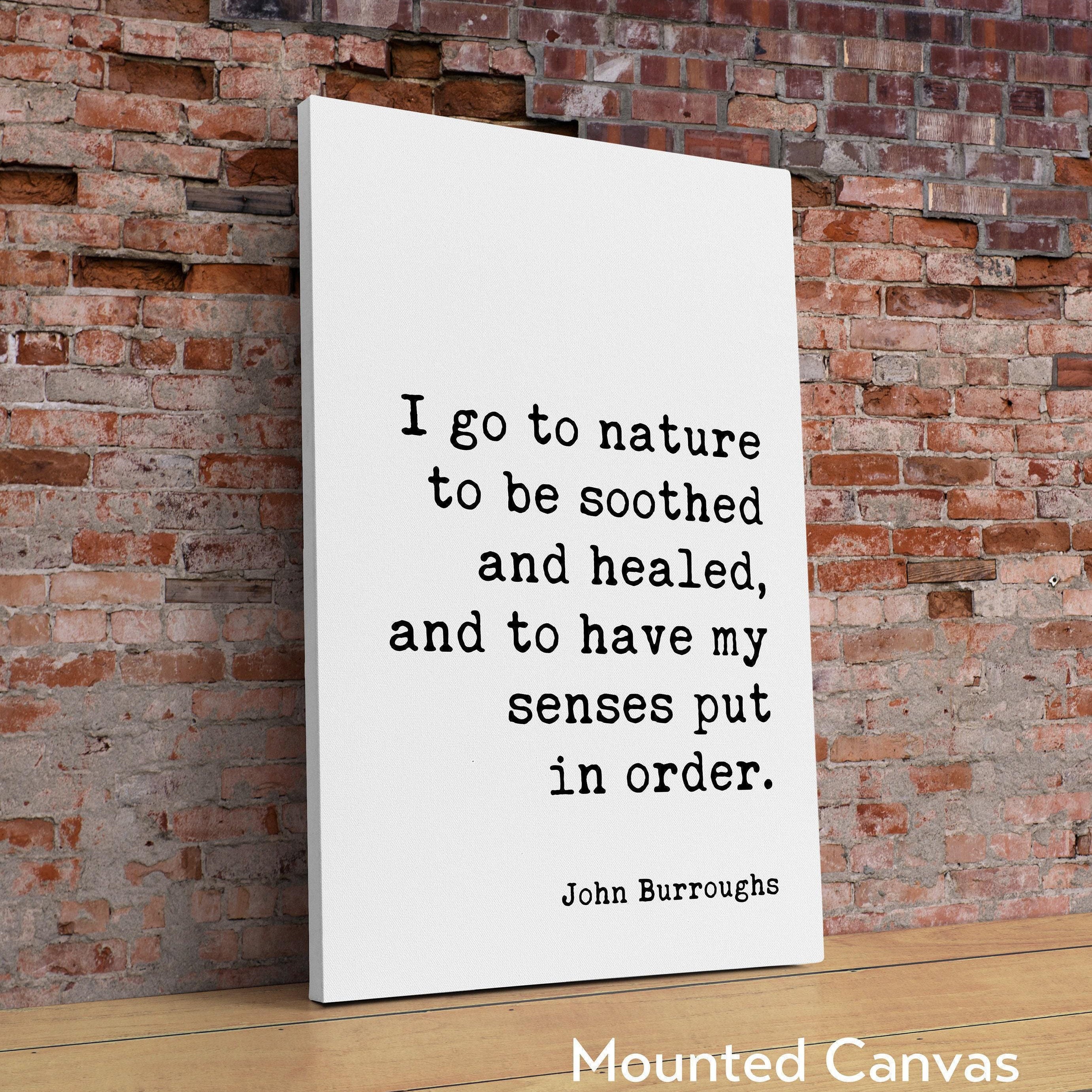 I go to nature to be soothed and healed, and to have my senses put in order.,  John Burroughs Quote,  Art Print,  Nature Lover (1917)