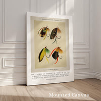 The charm of fishing is that it is the pursuit... John Buchan Quote featuring Trout & Bass Flies by Mary Orvis Marbury. Typography Art Print