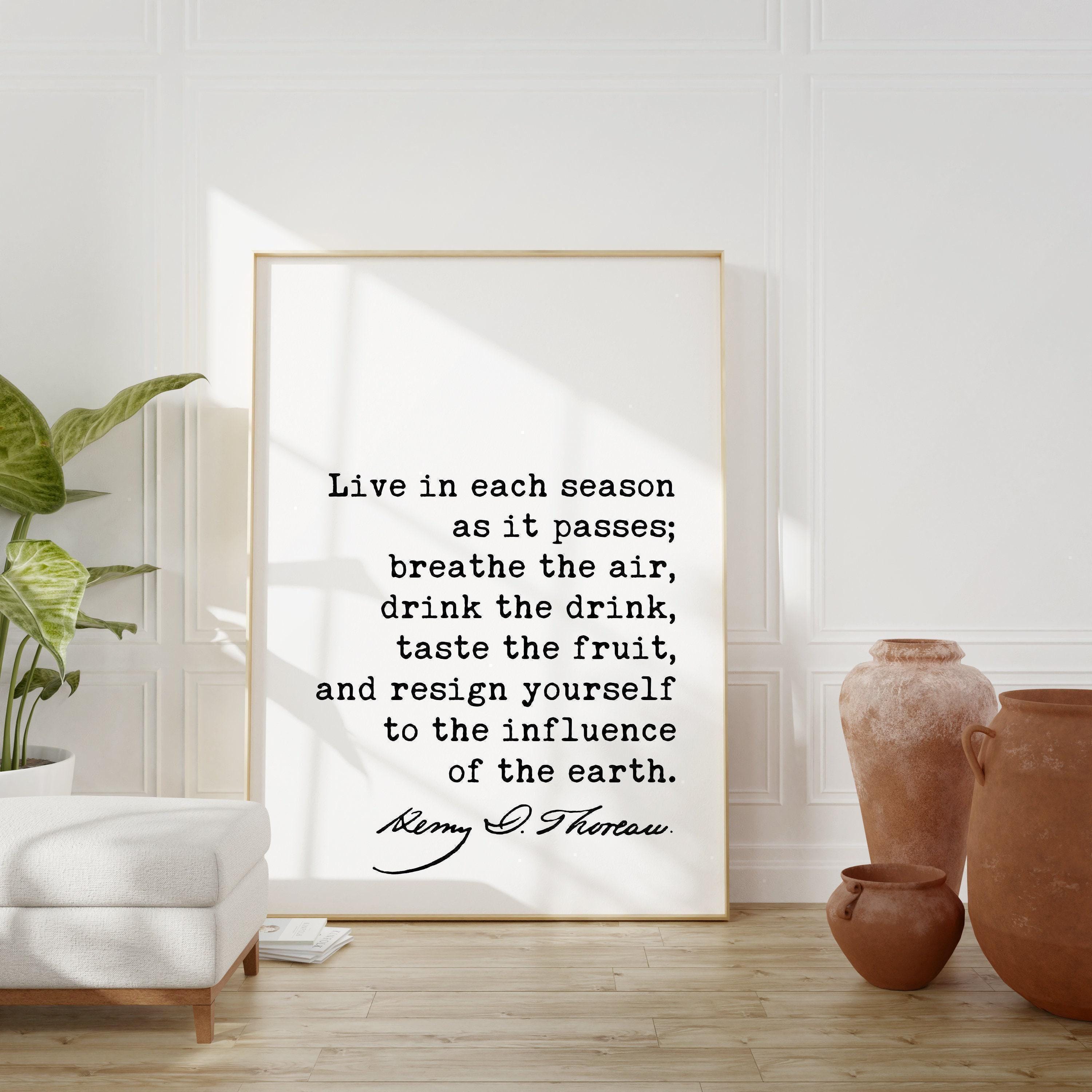 Minimalist Art Shop