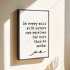 In every walk with nature one receives far more than he seeks.,  John Muir Quote ... Framed Canvas Art Print - Nature Lover Inspiration