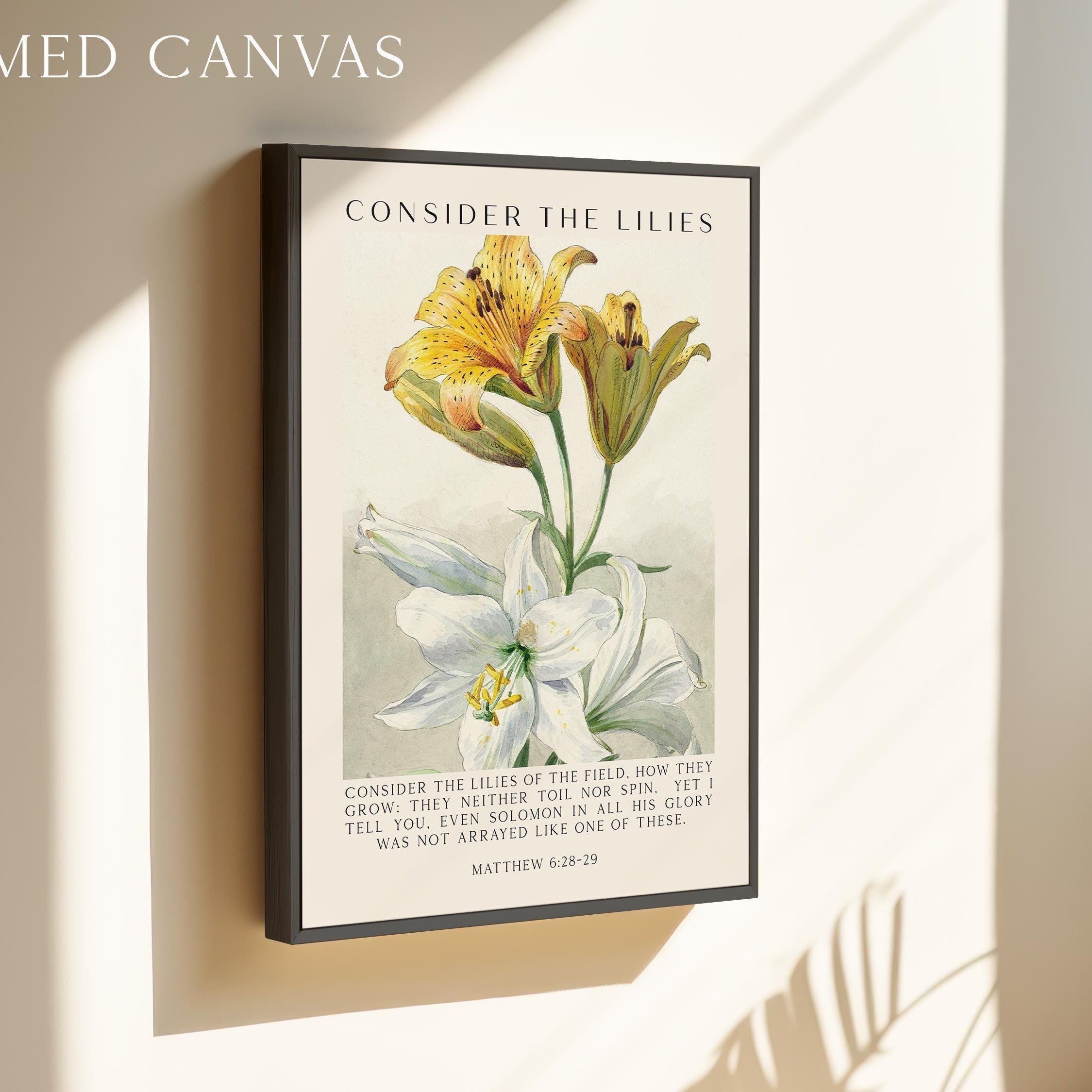 Consider the Lilies,  Scripture Wall Art - Matthew 6 28–29 Verse