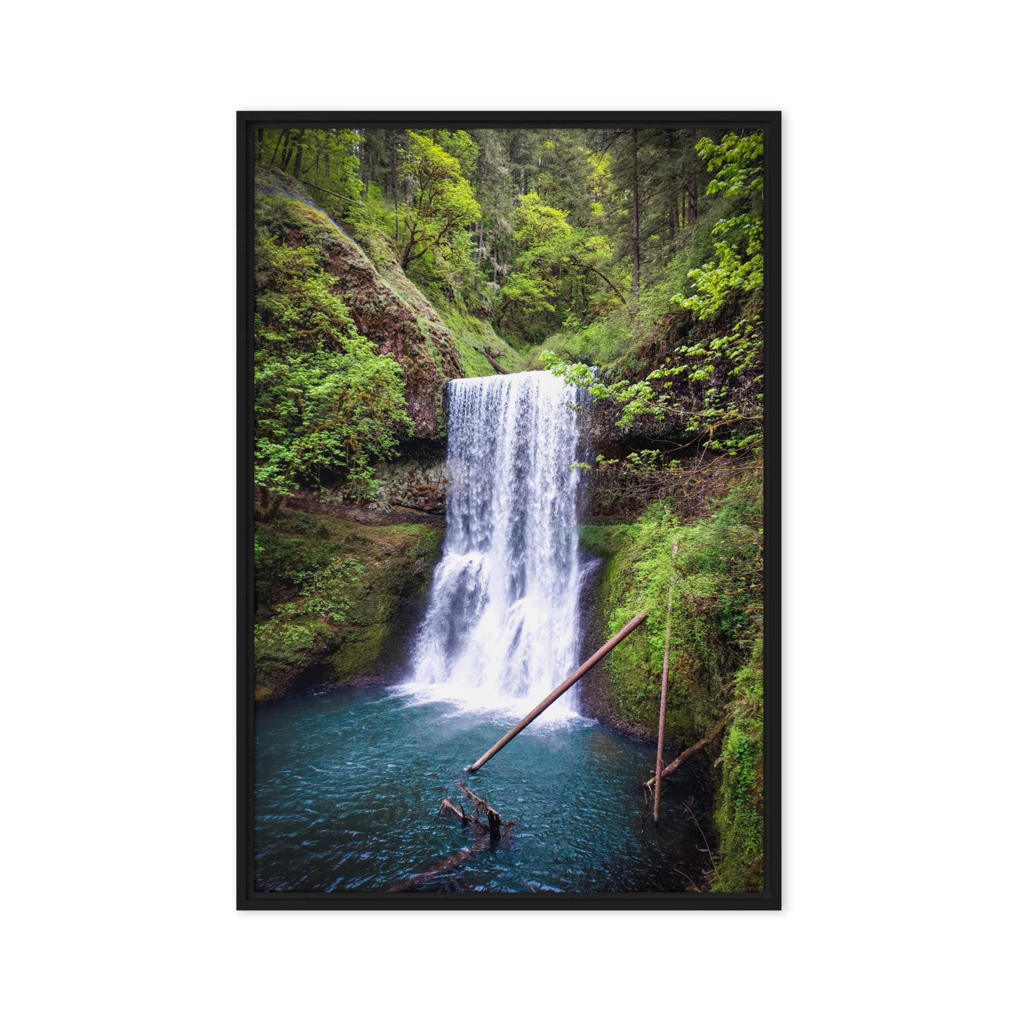 Lower South Falls at Silver Falls State Park, Oregon,  Framed Canvas Art Print