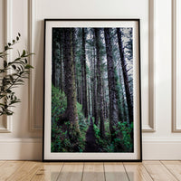 Oregon Forest Wall Art, Coastal Trail Photography, Sitka Spruce Print, Pacific Northwest Nature Decor