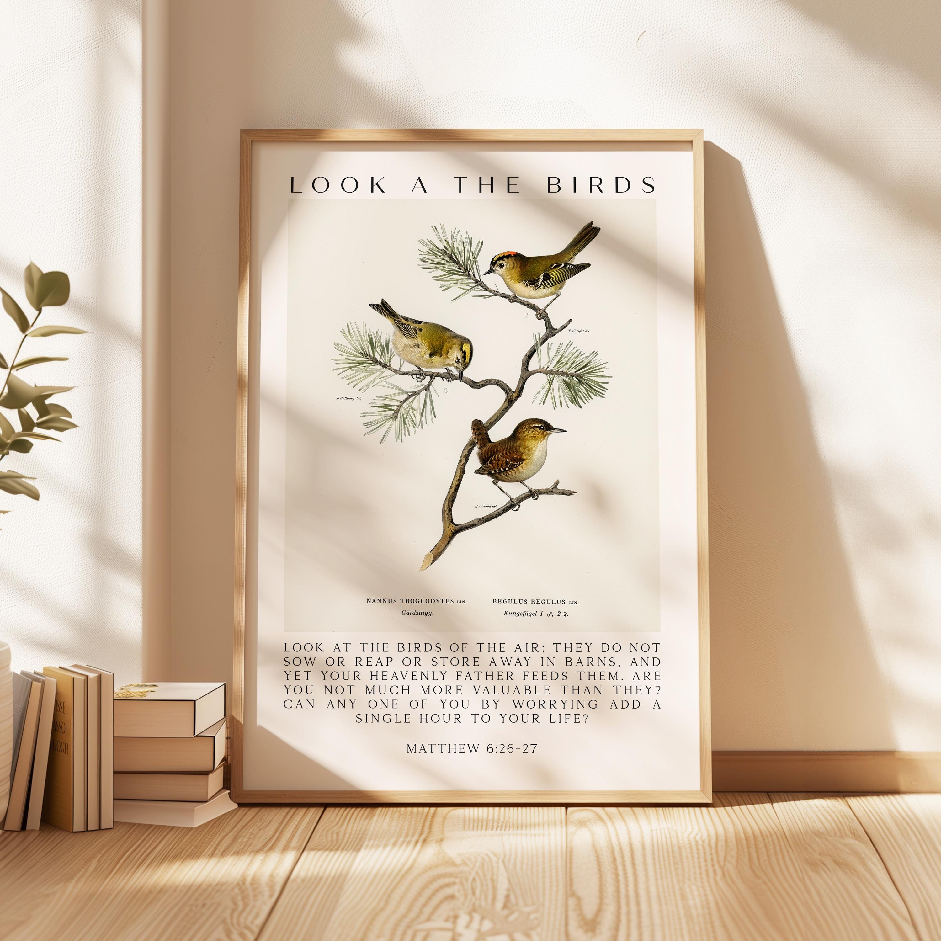Matthew 6:26-27 Bible Verse Print – Look at the Birds Scripture Wall Art