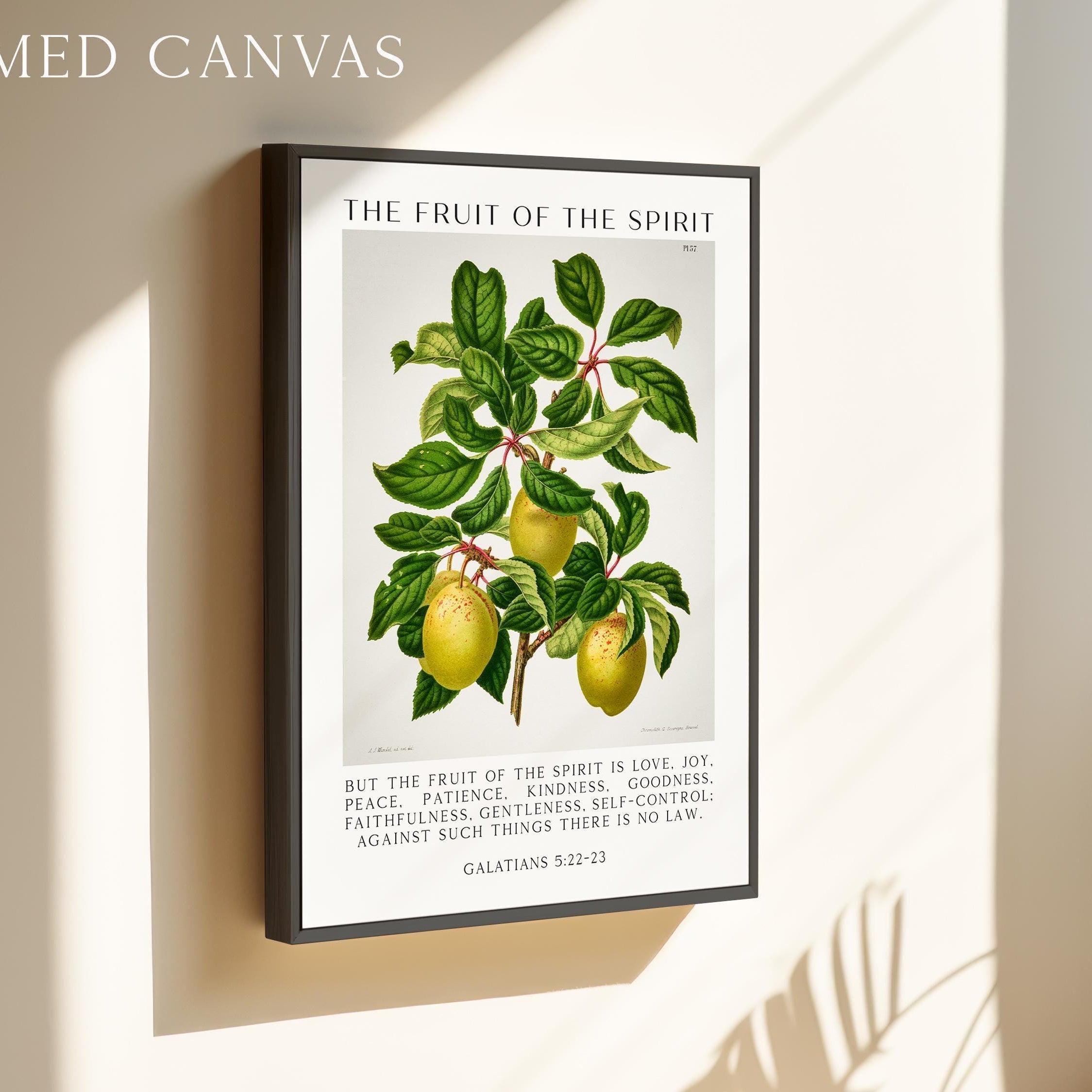 Fruit of the Spirit Typography Wall Art,  Galatians 5:22–23 Scripture Print,  Christian Botanical Plum Illustration Home Décor