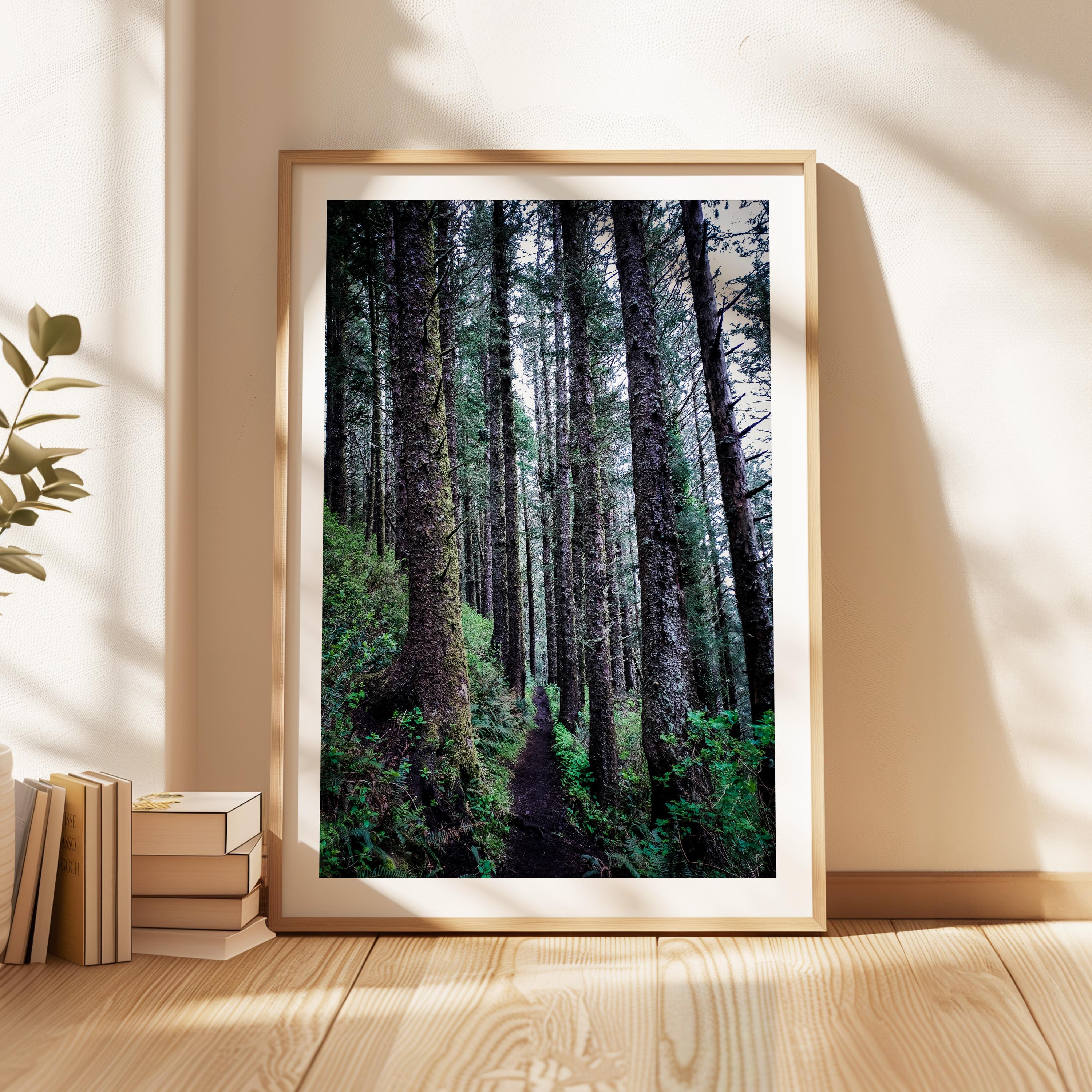 Oregon Forest Wall Art, Coastal Trail Photography, Sitka Spruce Print, Pacific Northwest Nature Decor