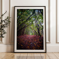 A framed photograph depicting a forest path covered in fallen leaves, with a dense canopy of trees and a misty atmosphere.