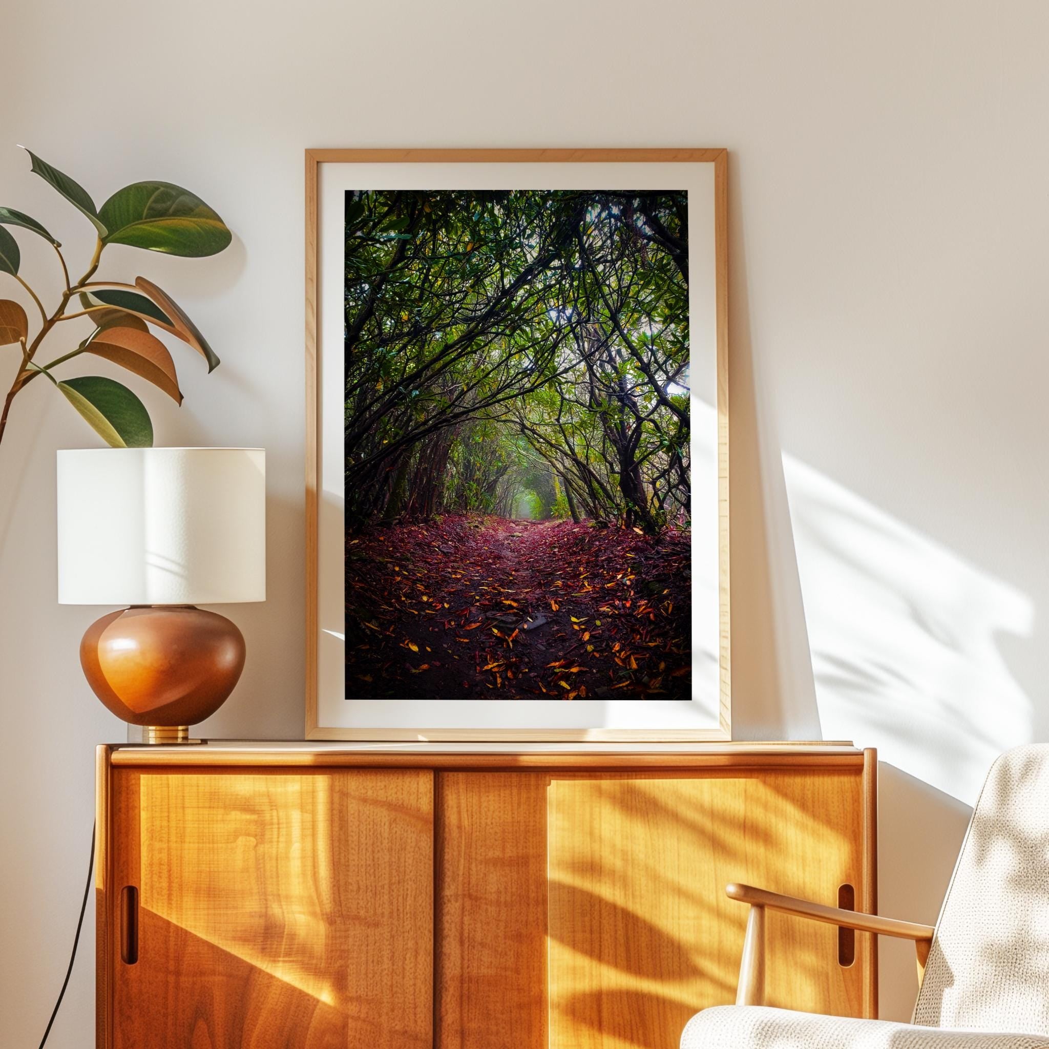 a framed photograph of a forest path with fallen leaves, hanging on a wall above a wooden cabinet.