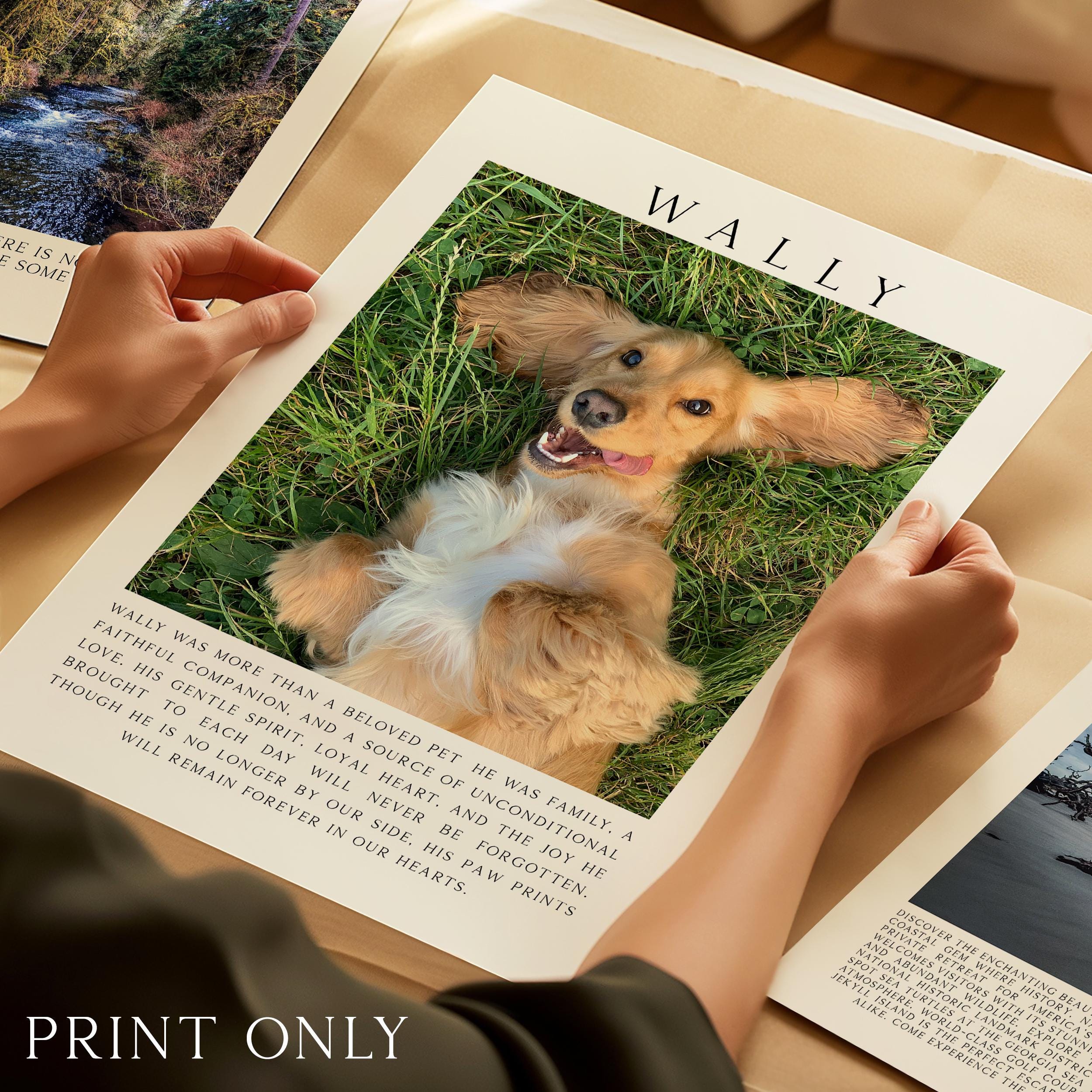 A person's hands holding a framed photograph of a golden retriever dog lying on the grass, with the name "Wally" printed on the frame.