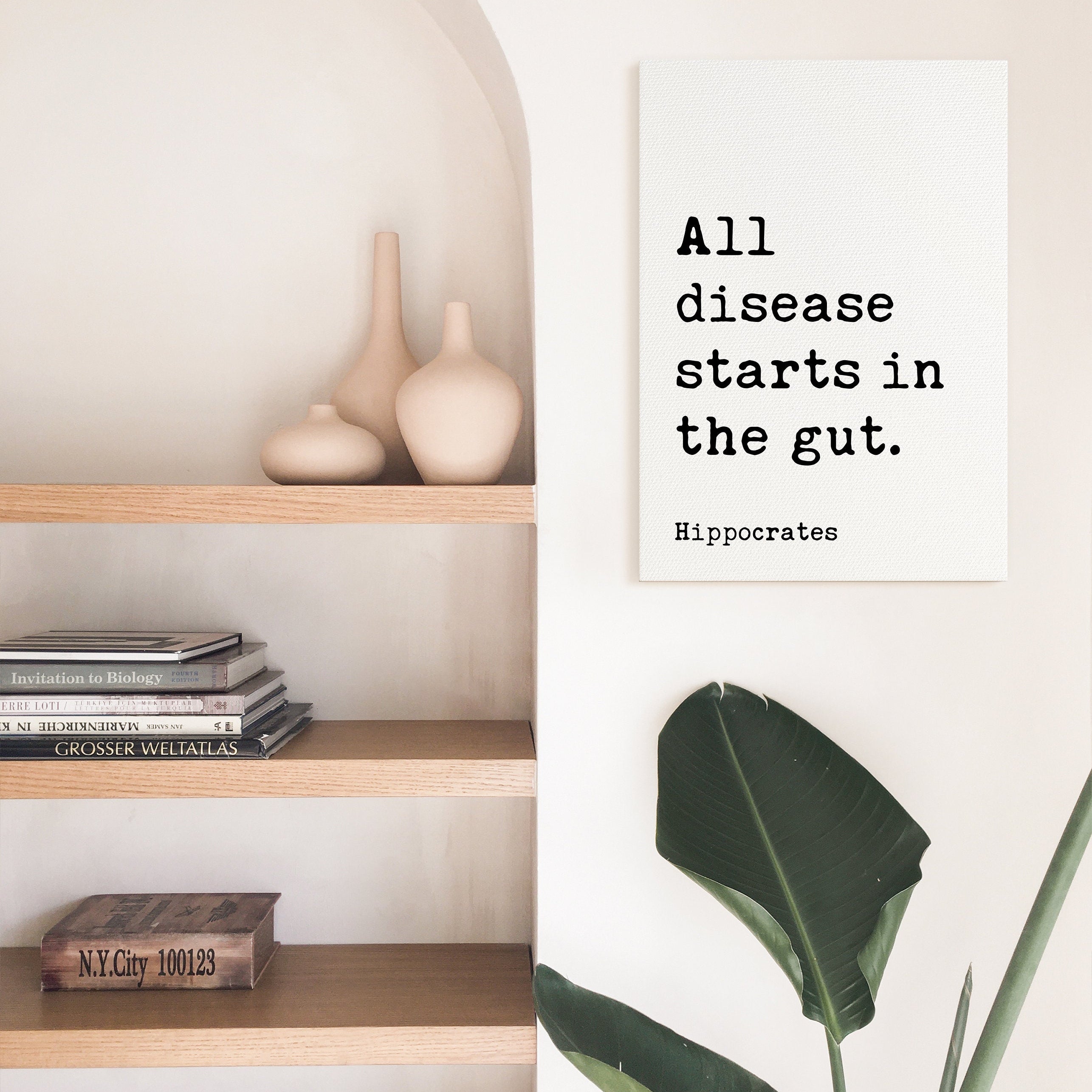All disease starts in the gut. Hippocrates Quote. Low Profile Mounted Canvas Typography Art Print