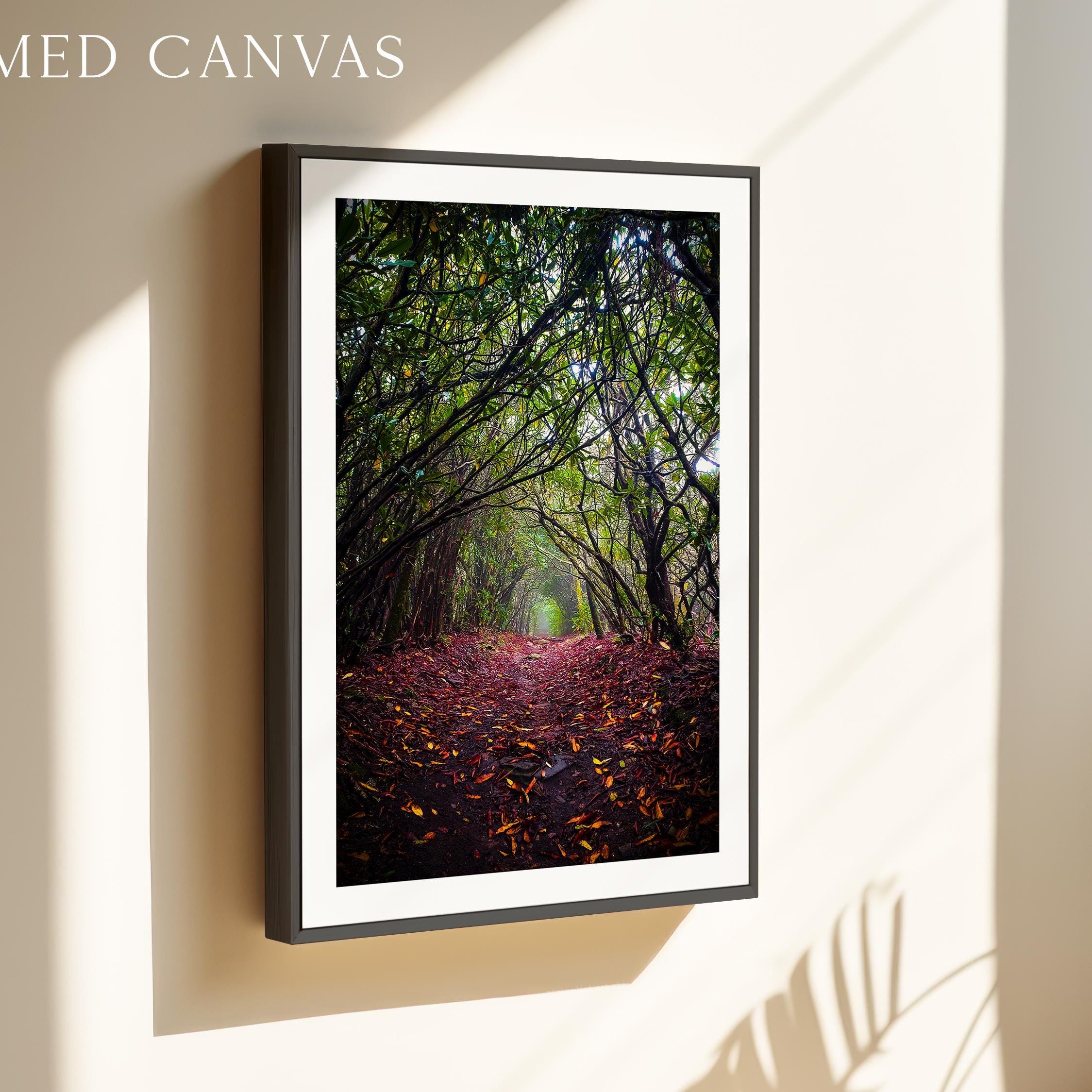 The image is a framed canvas depicting a forest path with a carpet of fallen leaves and a canopy of trees.