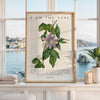 I Am The Vine • You Are the Branches • Mary Walcott Maypop •  John 15:5 • Art Print
