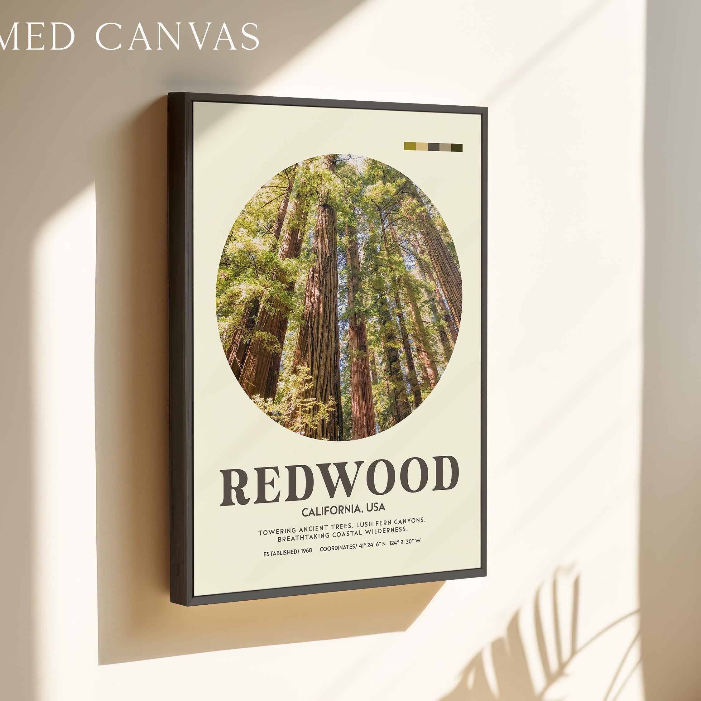Redwood National Park Print, California Travel Art, Mid Century Modern Wall Decor