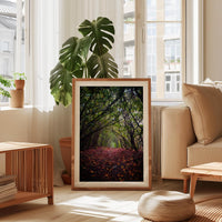a framed photograph of a forest path with red leaves, placed in the center of a living room with a large window and a potted plant.
