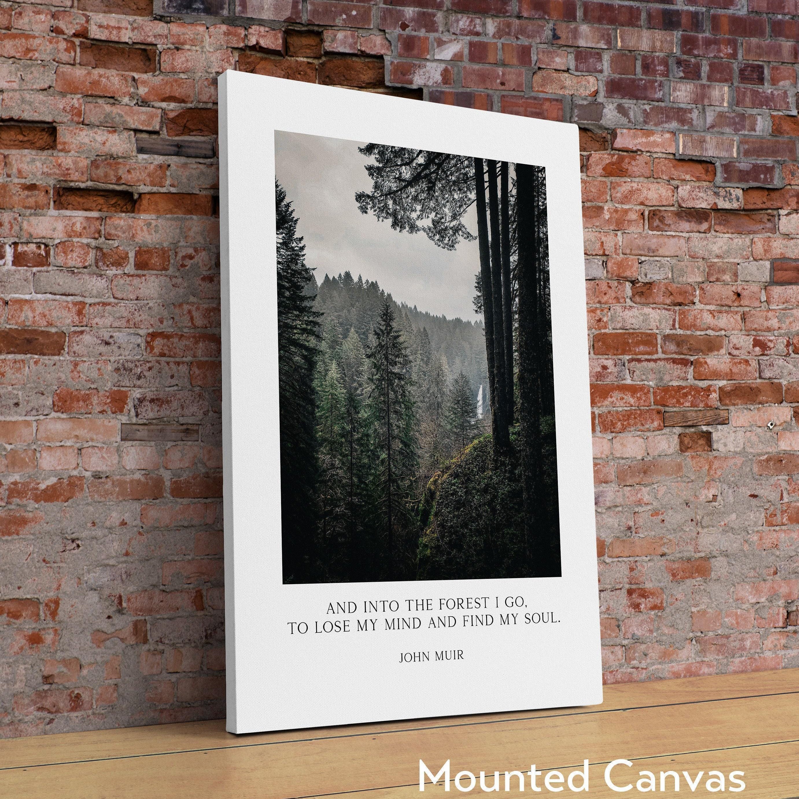 John Muir Quote,  And into the forest I go, to lose my mind and find my soul. Art Print - Oregon Evergreen Forest - Silver Falls State Park