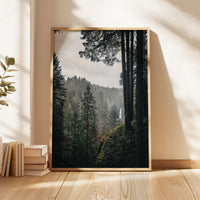 Silver Falls State Park Wall Art,  Oregon Forest Photography Print,  Moody Waterfall Landscape Décor, Pacific Northwest Nature Photo