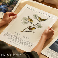 Matthew 6:26-27 Bible Verse Print – Look at the Birds Scripture Wall Art