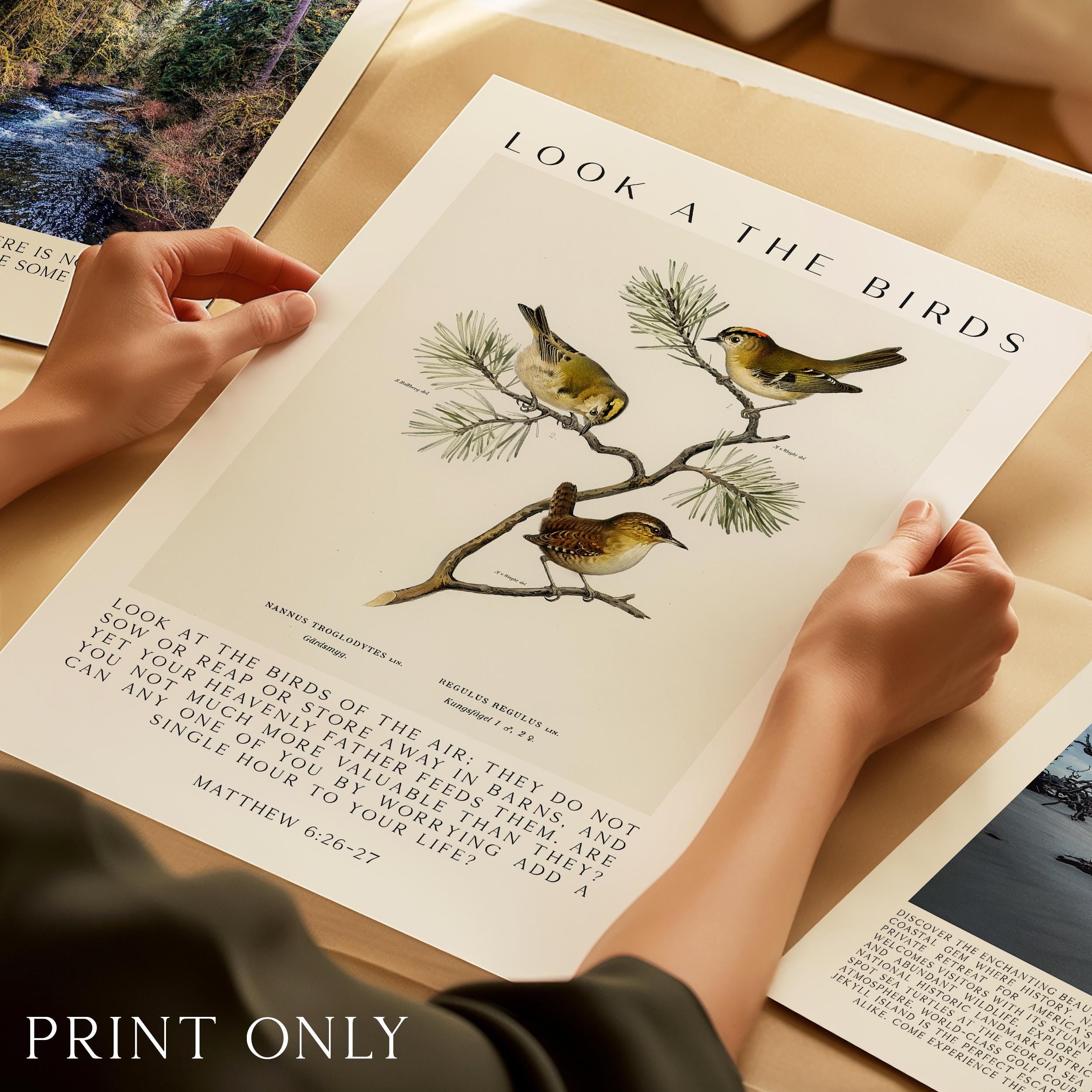 Matthew 6:26-27 Bible Verse Print – Look at the Birds Scripture Wall Art
