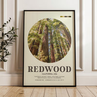 Redwood National Park Print, California Travel Art, Mid Century Modern Wall Decor