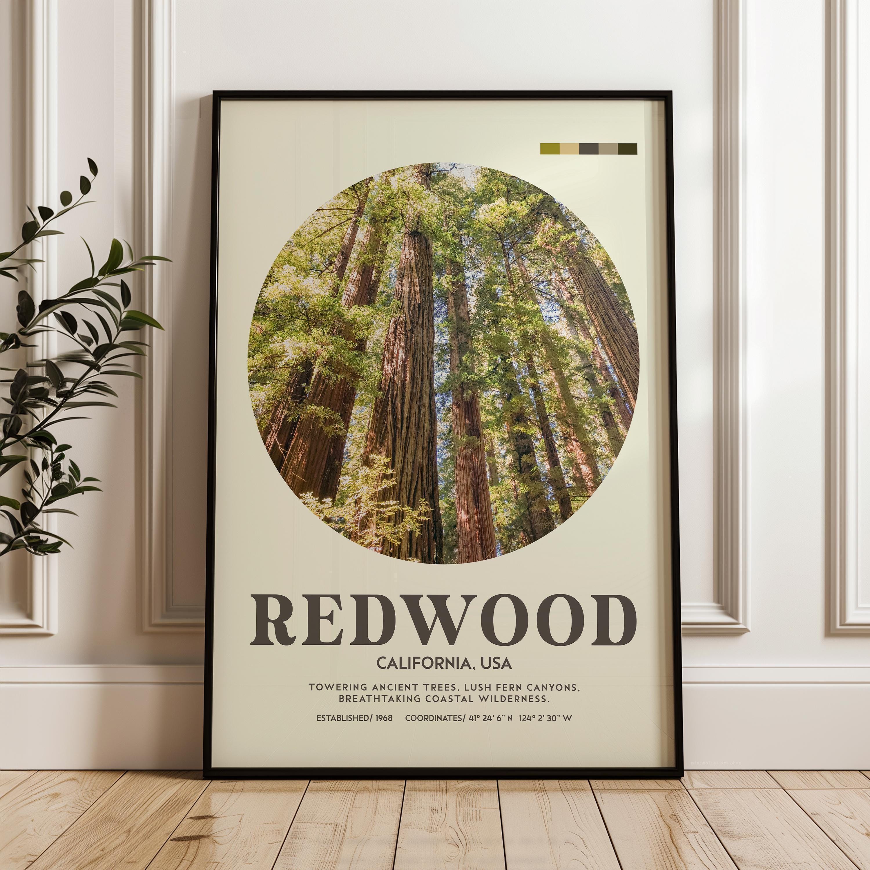 Redwood National Park Print, California Travel Art, Mid Century Modern Wall Decor