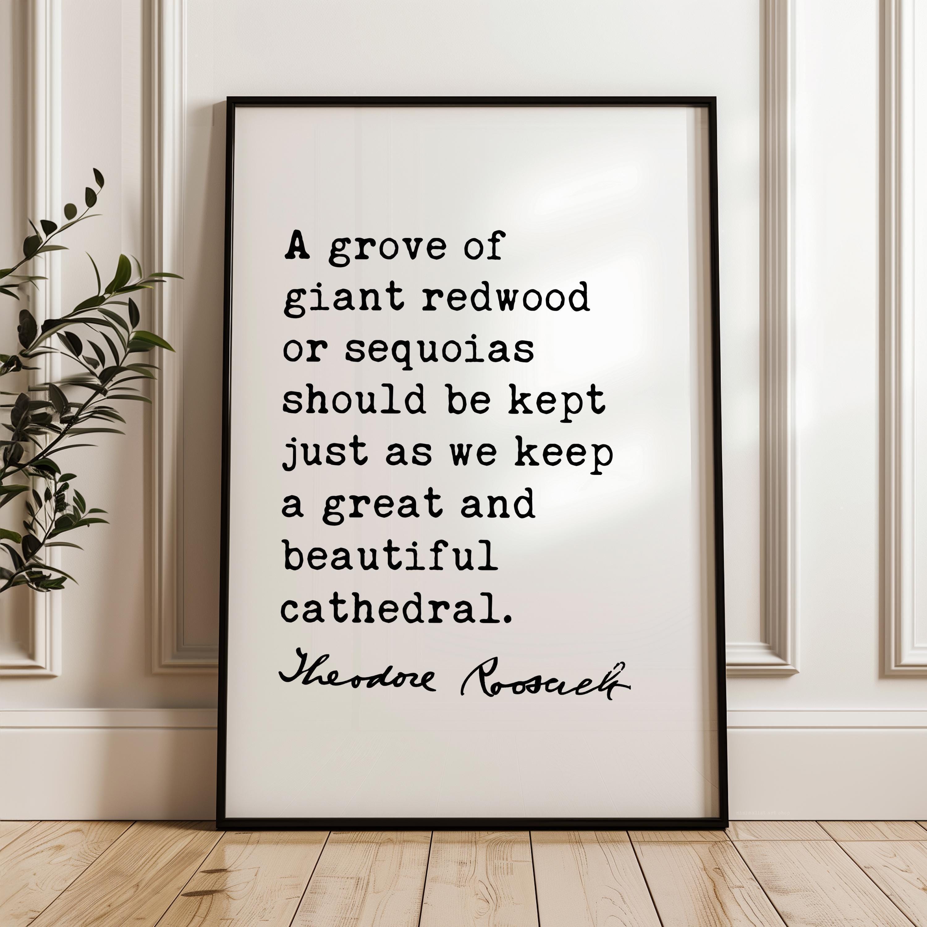 A Grove of Giant Redwoods Quote,  Theodore Roosevelt Typography Print,  Nature Lovers Wall Art Home Décor