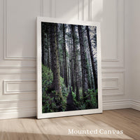 Oregon Forest Wall Art, Coastal Trail Photography, Sitka Spruce Print, Pacific Northwest Nature Decor