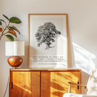 The Wonder Is That We Can See These Trees,  Ralph Waldo Emerson Quote Print,   Nature Typography Wall Art