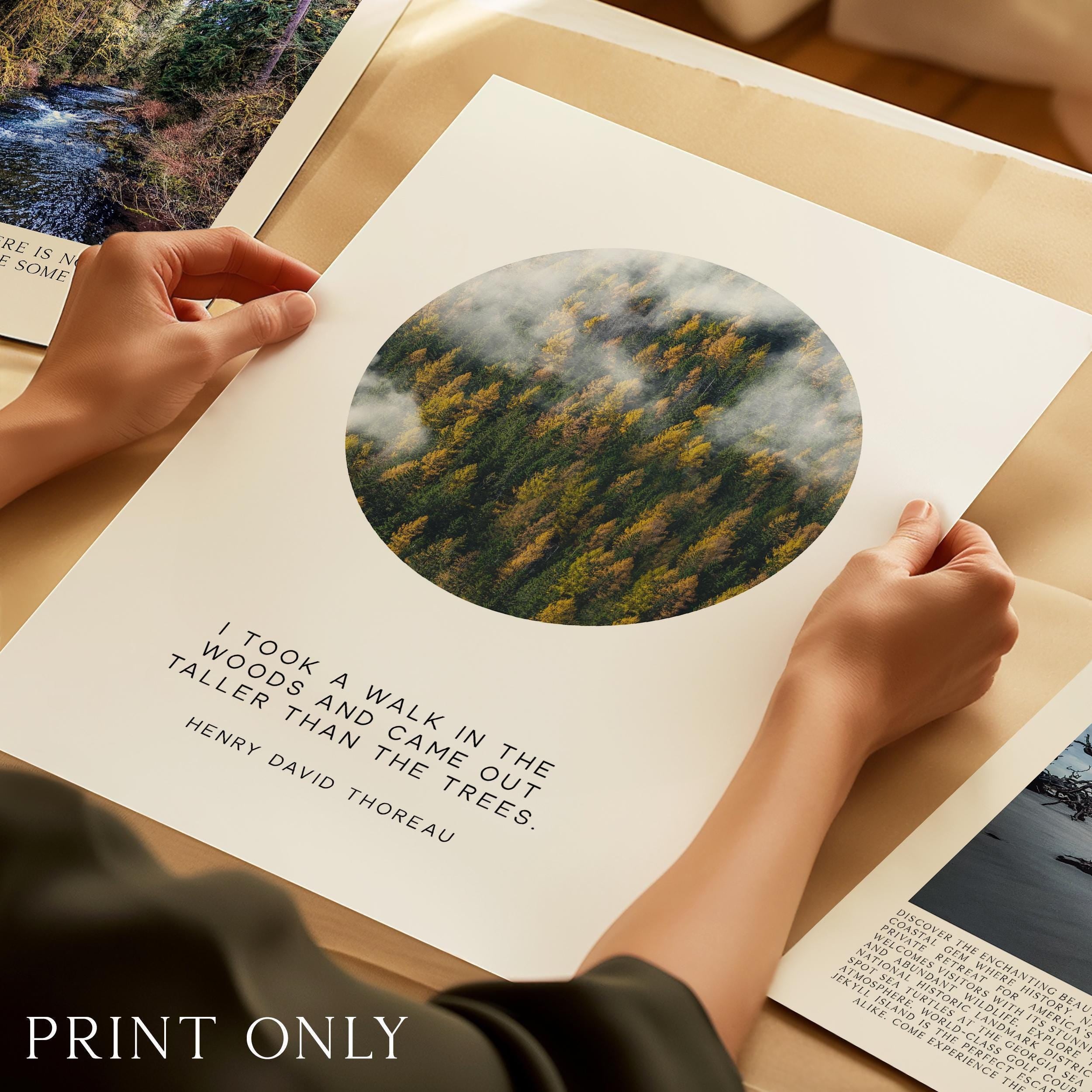 Henry David Thoreau Quote Print: "I Took a Walk in the Woods" Nature Wall Art