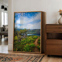 Oregon Landscape Photography Print – Tom McCall Point Trail Wall Art – Columbia River Gorge – PNW Nature Photo by Jessie Dysart