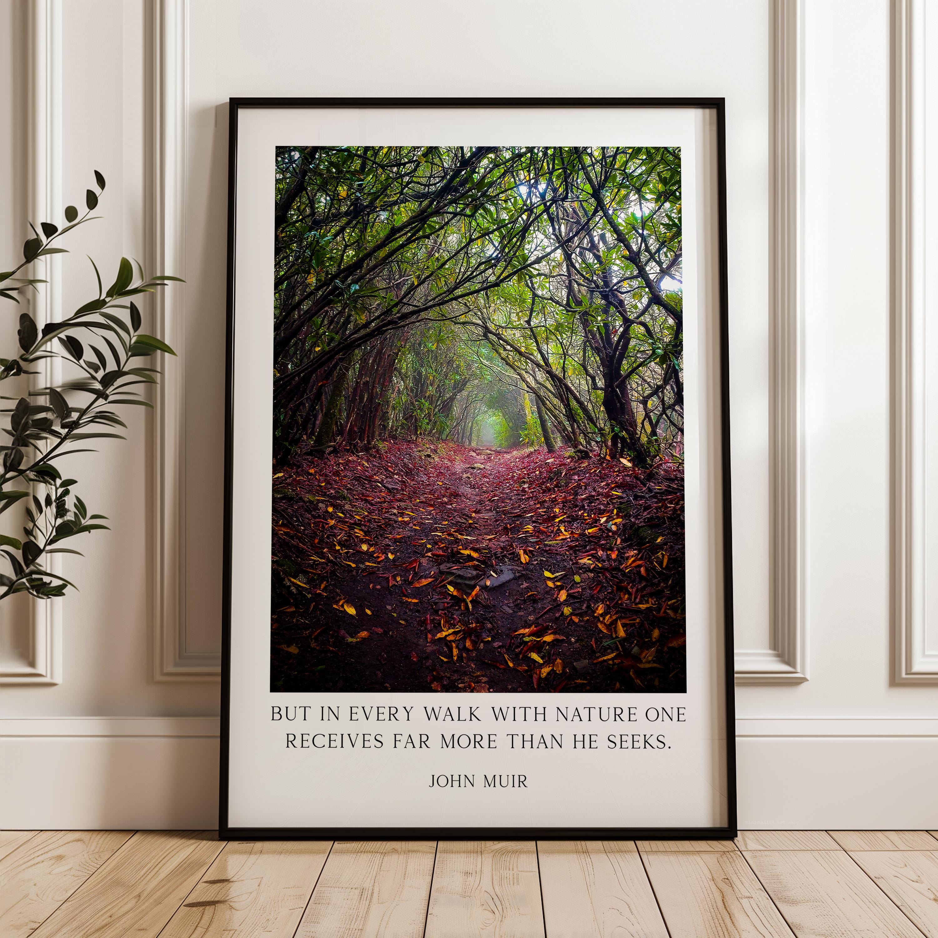 A framed photograph of a forest path covered in fallen leaves, with a quote by John Muir superimposed on the image.