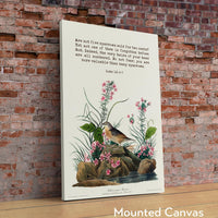 Are not five sparrows sold for two cents? Yet not one of them is forgotten before God. Luke 12:6-7 Art Print with Yellow-winged Sparrow