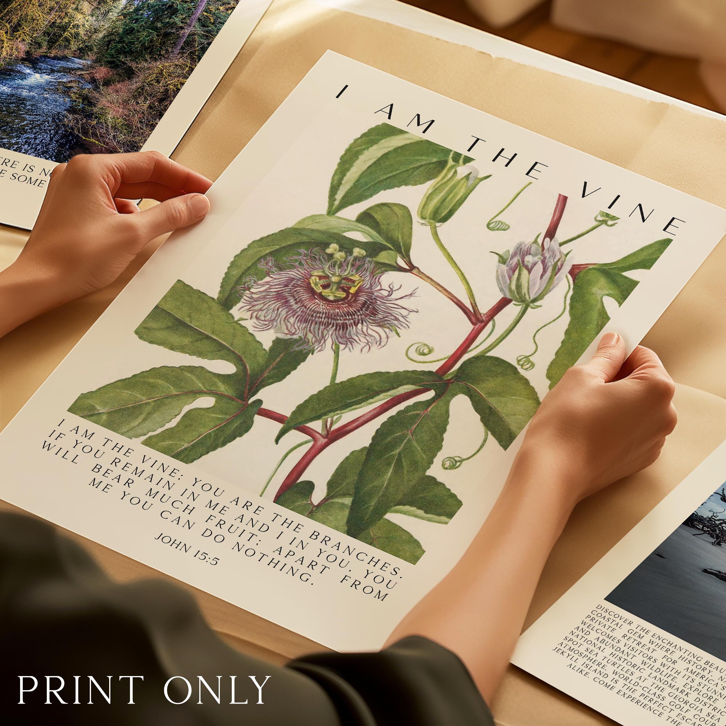 I Am The Vine • You Are the Branches • Mary Walcott Maypop •  John 15:5 • Art Print