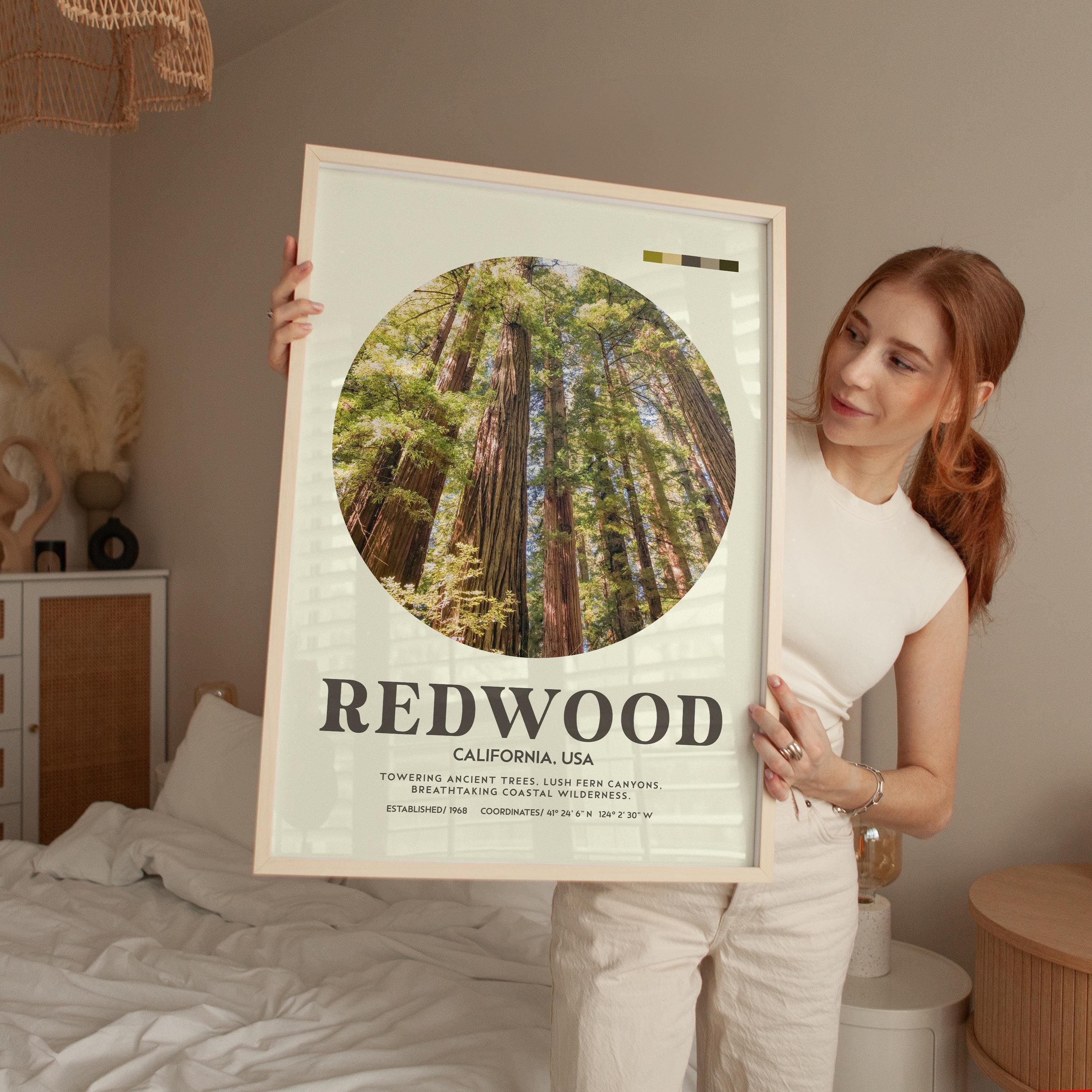 Redwood National Park Print, California Travel Art, Mid Century Modern Wall Decor