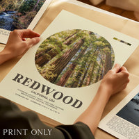 Redwood National Park Print, California Travel Art, Mid Century Modern Wall Decor
