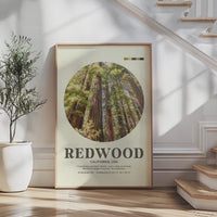 Redwood National Park Print, California Travel Art, Mid Century Modern Wall Decor