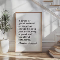 A Grove of Giant Redwoods Quote,  Theodore Roosevelt Typography Print,  Nature Lovers Wall Art Home Décor
