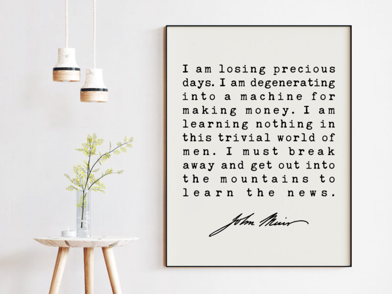 I am losing precious days. I am degenerating into a machine for making money. - John Muir Quote Art Print - Image 6