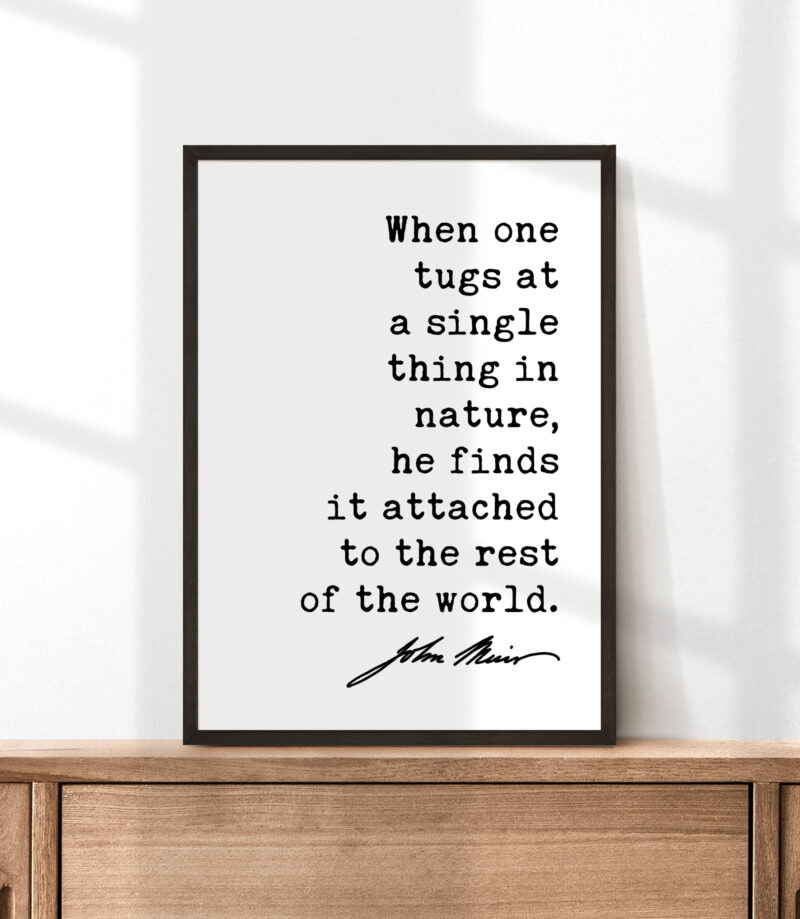 When one tugs at a single thing in nature, he finds it attached to the rest of the world. John Muir Quote Typography Art Print - Image 5