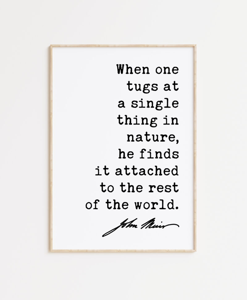 When one tugs at a single thing in nature, he finds it attached to the rest of the world. John Muir Quote Typography Art Print