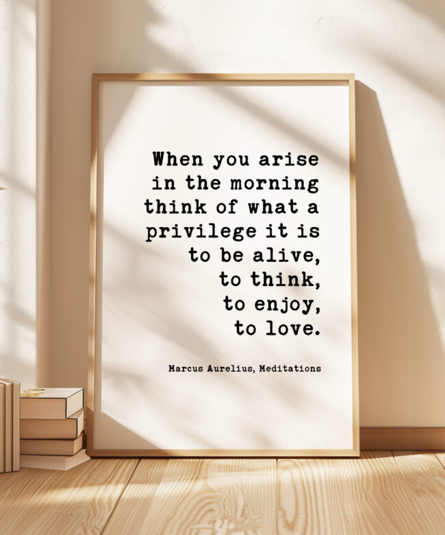 When you arise in the morning, think of what a privilege it is to be alive. Marcus Aurelius, Meditations Typography Art Print
