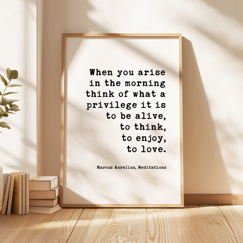When you arise in the morning, think of what a privilege it is to be alive. Marcus Aurelius, Meditations Typography Art Print