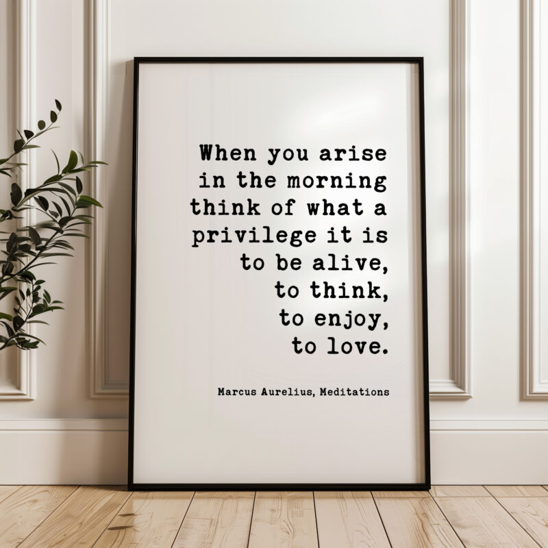 When you arise in the morning, think of what a privilege it is to be alive. Marcus Aurelius, Meditations Typography Art Print - Image 5