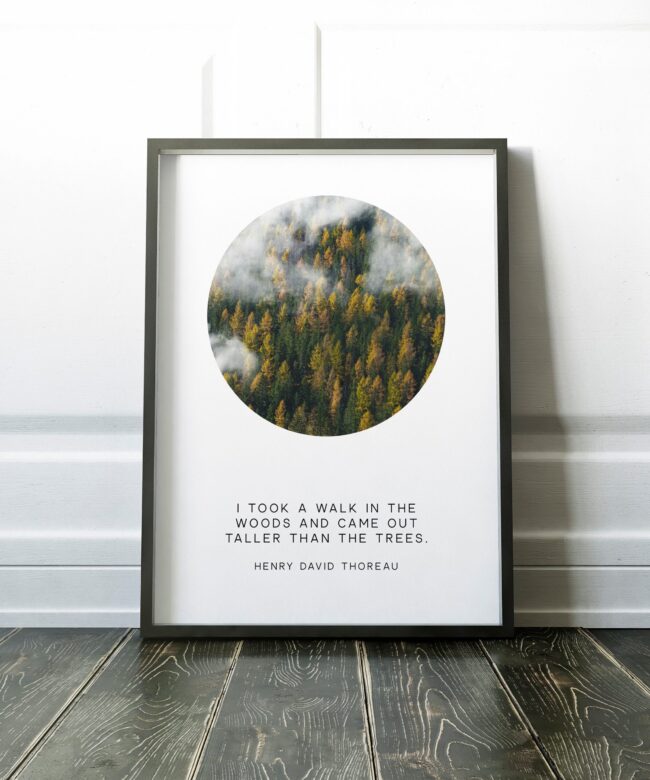 Henry David Thoreau Quote - I took a walk in the woods and came out taller than the trees.  Typography Art Print - Nature - Hiker - Gift
