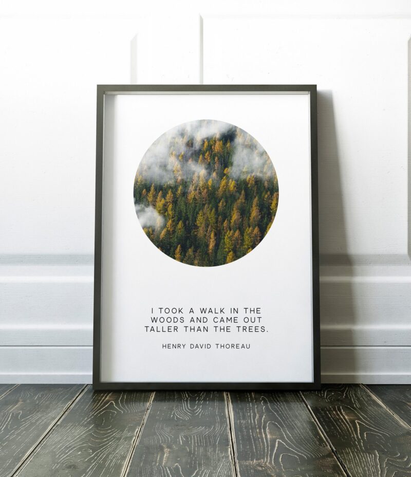 Henry David Thoreau Quote - I took a walk in the woods and came out taller than the trees.  Typography Art Print - Nature - Hiker - Gift
